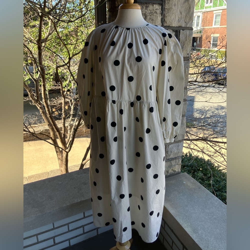 Polka Dot Long Sleeve Midi Dress (Sz L)